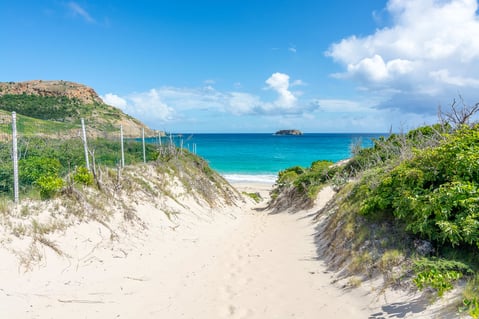 Saline-beach-st-barts